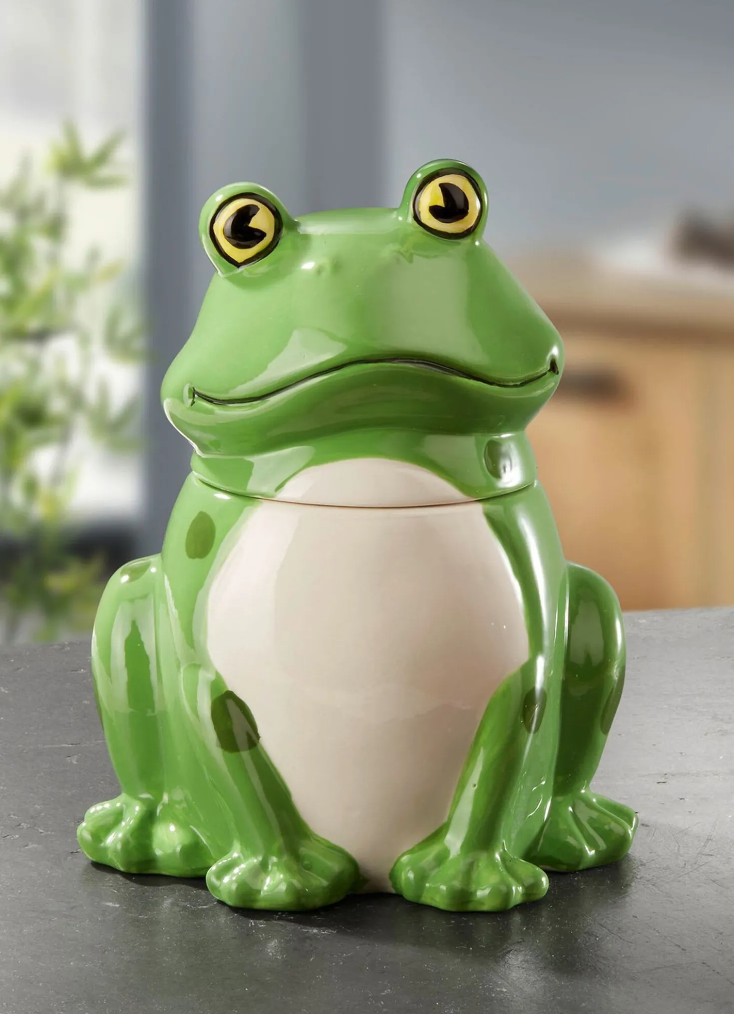 Aufbewahrungsdose Frosch