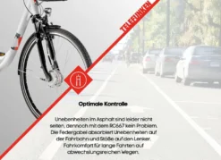 City-E-Bike RC667 von TELEFUNKEN