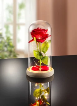 Dekoration Ewige Rose mit LED-Beleuchtung