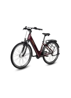 E-Bike Comfort Plus 5.0 von Saxonette