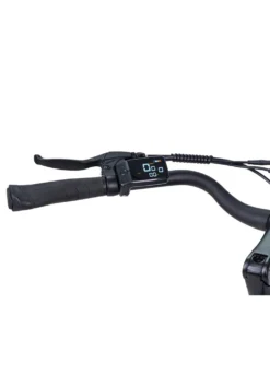 E-Bike Comfort Plus 5.0 von Saxonette