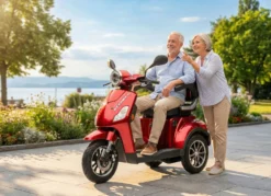Econelo Akku-Trike, 3-Rad