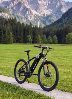 E-Mountainbike von Veccocraft