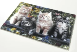 Fußmatte Katzenfreunde