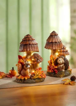 Herbstliche Pilze, beleuchtet