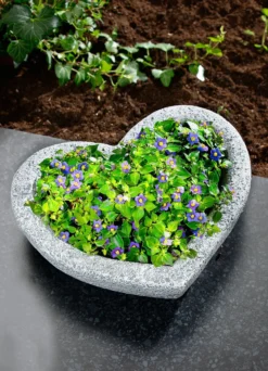 Herz-Pflanzschale aus wetterfestem Polyresin