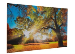 Hochwertiges Kunstdruck Bild