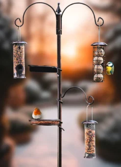 5 in 1 Vogelfutterstation