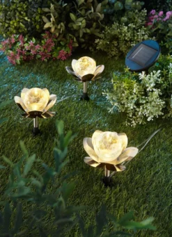 LED-Seerosen, 3-teilig
