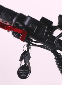 Maximus E-Cruiser - Die Alternative zum Motorrad