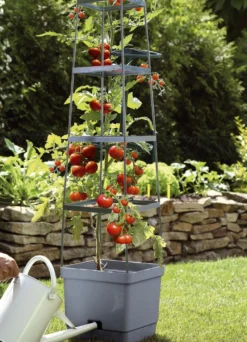 MAXITOM Tomaten-Rankhilfe Komplett-Set