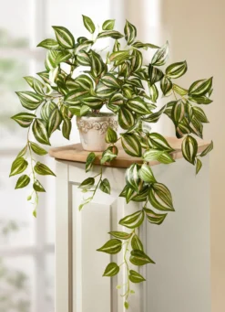 Naturgetreue Tradescantia-Ranke im Topf