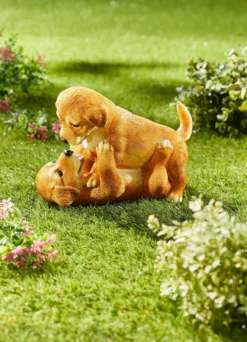 Spielende Hundewelpen