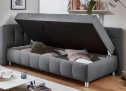 Studioliege mit Kissen und Bettkasten