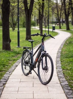 Trekking-E-Bike XT490 von TELEFUNKEN