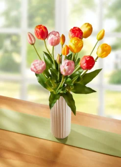 Tulpenbund, 5-teilig