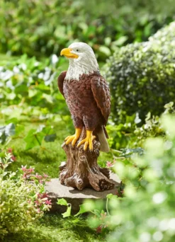 Weißkopf-Seeadler