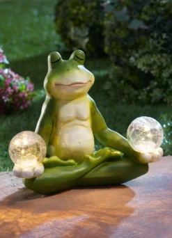 Yoga-Frosch